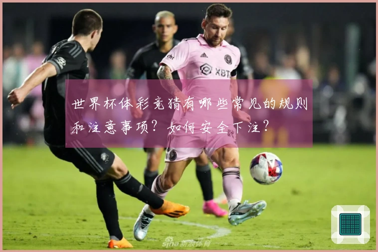 世界杯体彩竞猜有哪些常见的规则和注意事项？如何安全下注？