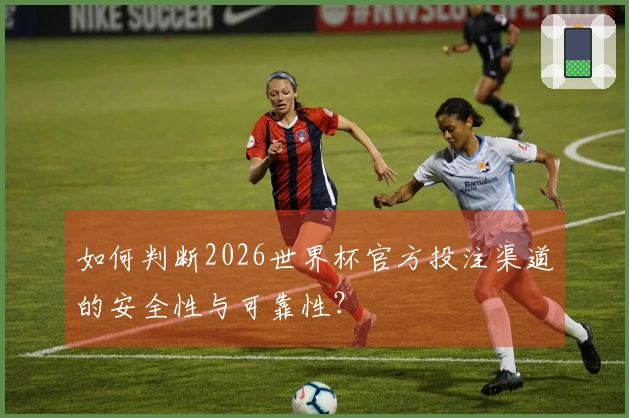 如何判断2026世界杯官方投注渠道的安全性与可靠性？