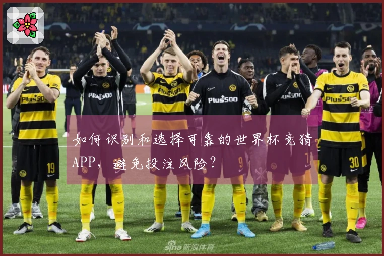 如何识别和选择可靠的世界杯竞猜APP，避免投注风险？